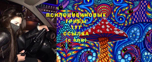 ешки Вязьма