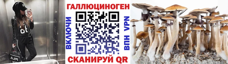 Галлюциногенные грибы прущие грибы  Майкоп 