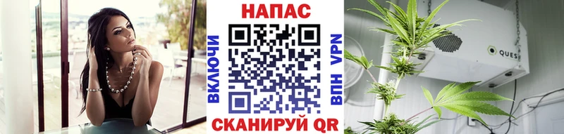 нарко площадка наркотические препараты  кракен ССЫЛКА  Майкоп  МАРИХУАНА ГИДРОПОН 